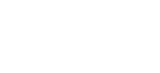 Mini Official Dealer
